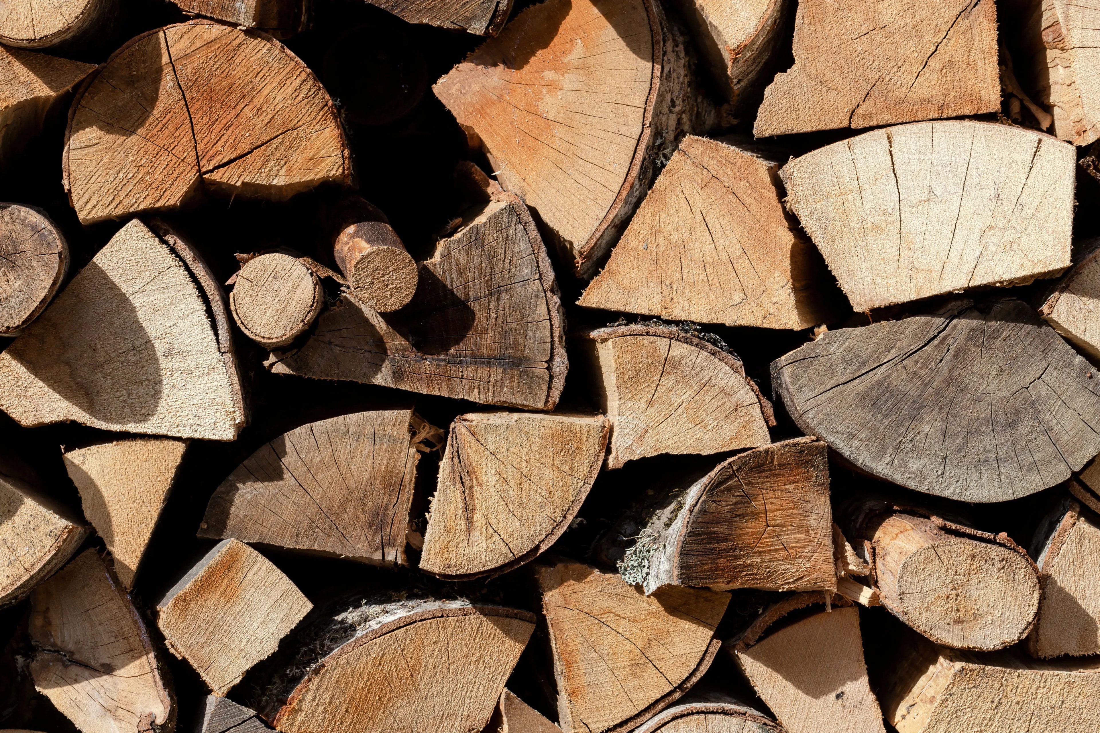 Brennholz in Nürnberg kaufen – Trocken und hochwertig geliefert