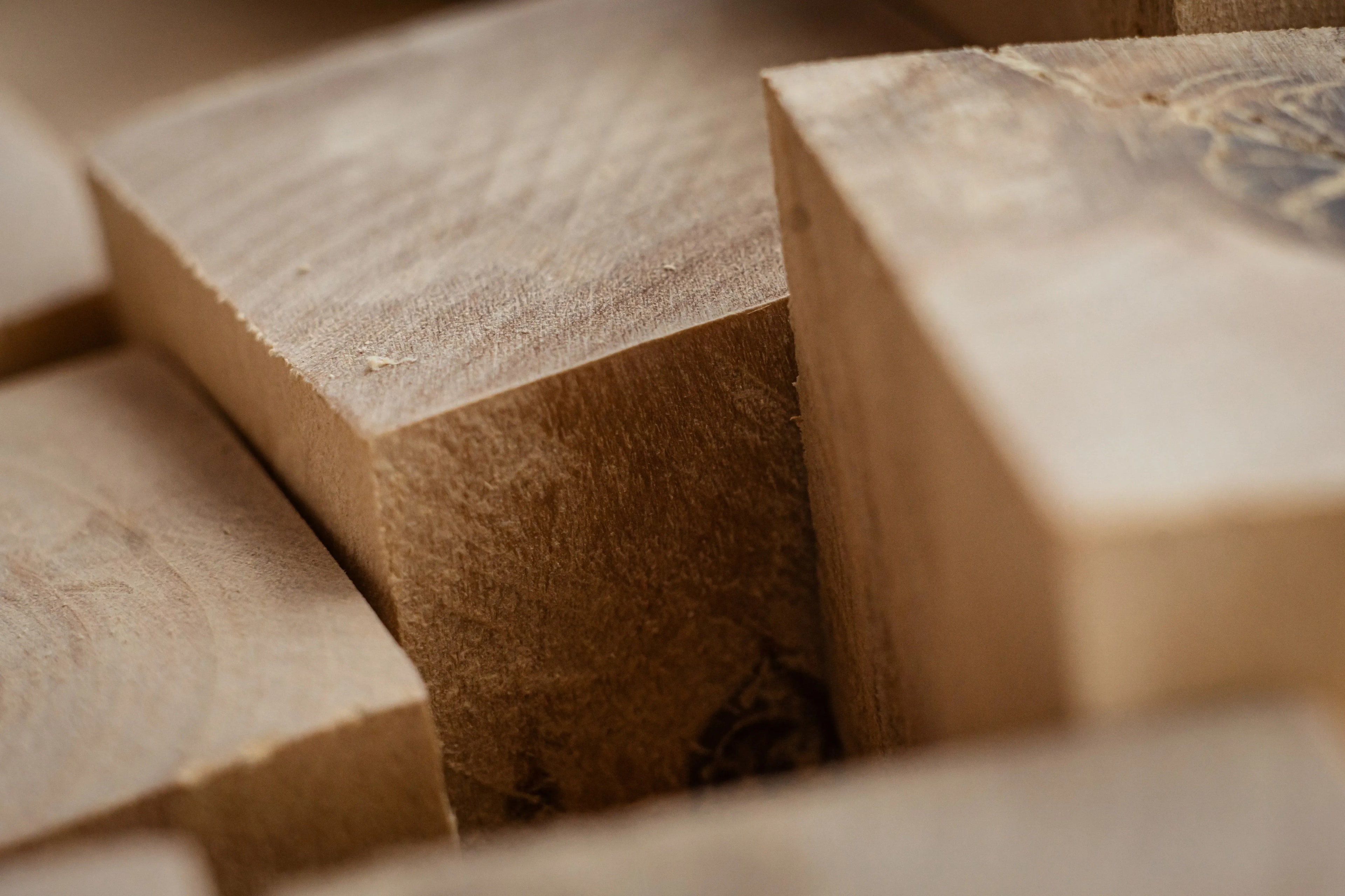 Trommelgetrocknetes Brennholz in Augsburg bestellen – Sauber und nachhaltig